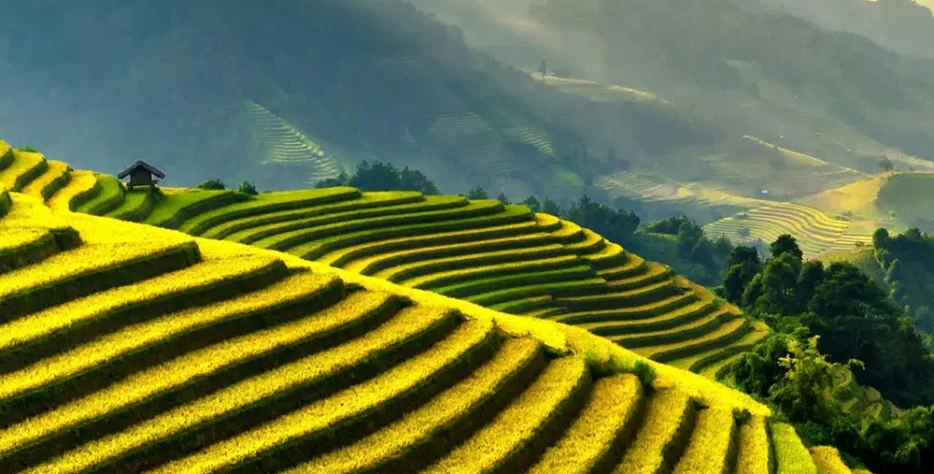 We source our produce from fertile regions in Northern Nigeria and process it to meet strict international standards, including moisture content below 10%.