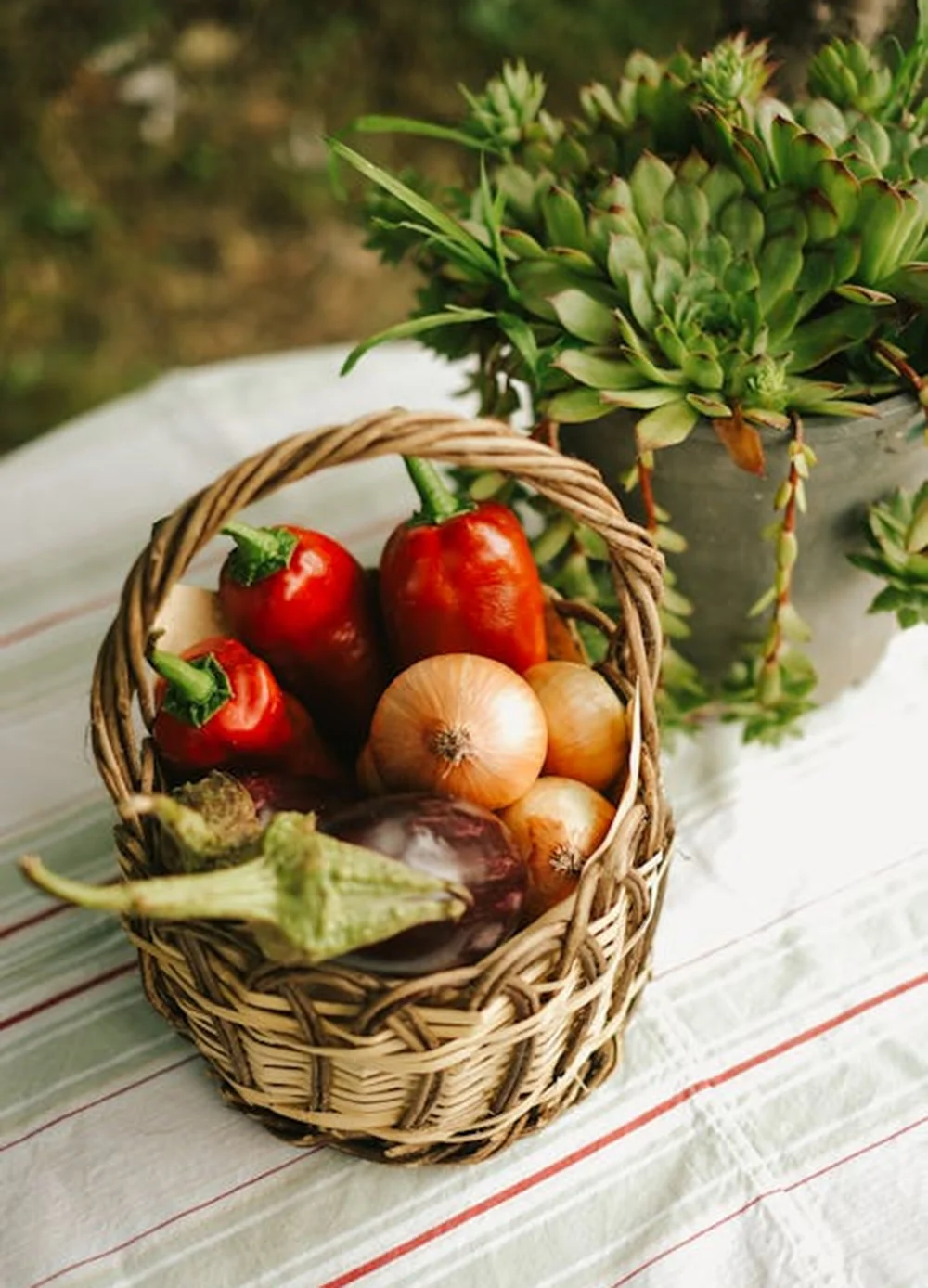 We reliably export our products to key markets in Europe, North America, and Asia for use in herbal teas, beverages, and natural colorants.