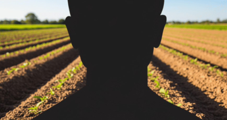 As the Managing Director and CEO, Dimeji Olona is the primary decision-maker, overseeing the company’s strategic direction, business development, and overall operations. He is responsible for driving the company’s vision in the agro-allied sector, particularly in the sourcing, processing, and potential export of hibiscus flowers.